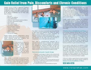 AquaBrochure-Nov2011_Page_2